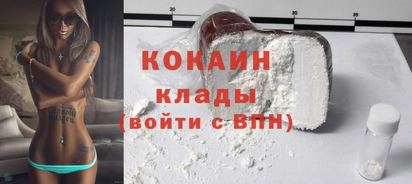 мет Бородино
