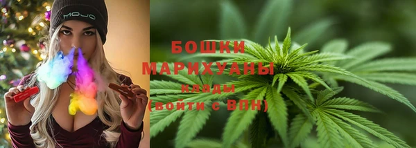 мет Бородино
