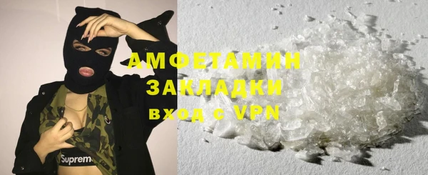 индика Богородицк