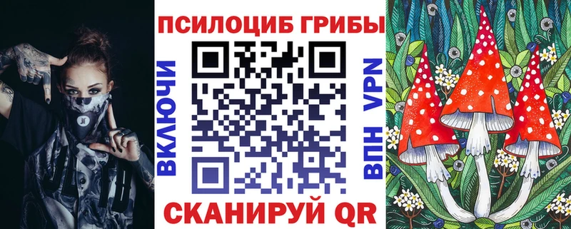 KRAKEN как зайти  Набережные Челны  Псилоцибиновые грибы прущие грибы  даркнет сайт 